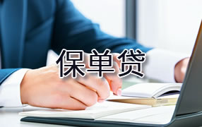 林芝保单贷