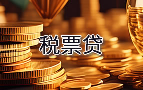 林芝税票贷